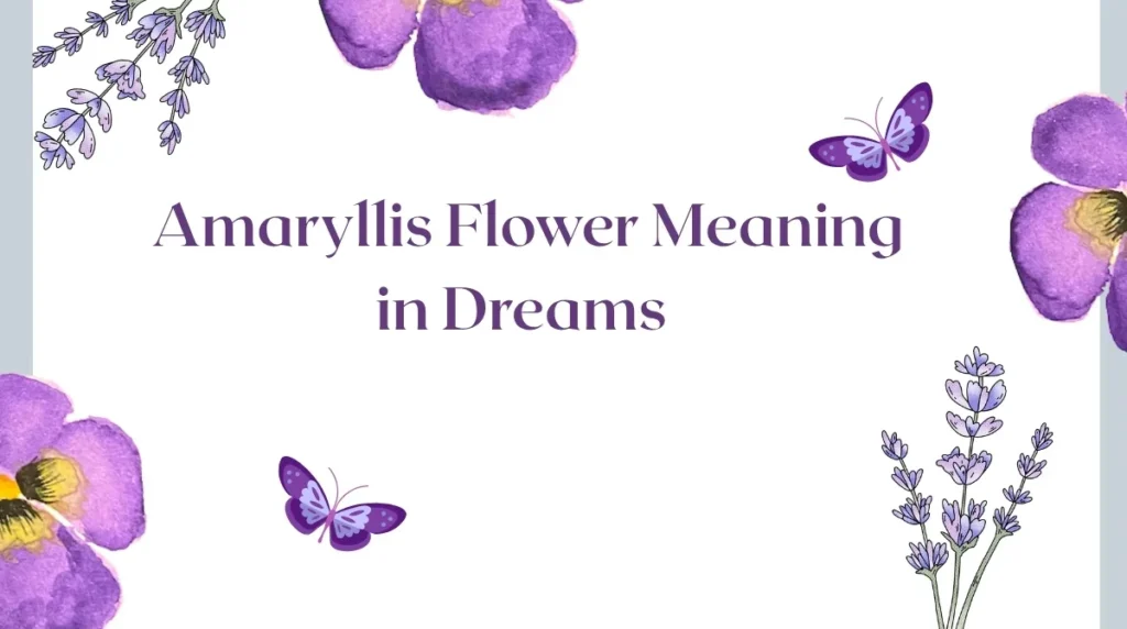 Amaryllis Flower Meaning in Dreams 