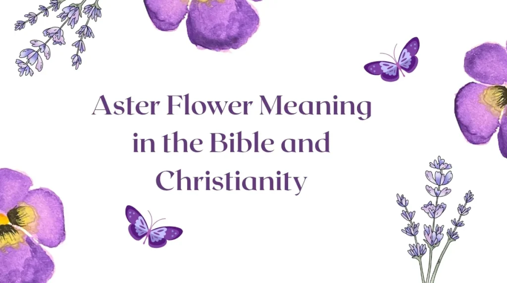 Aster Flower Meaning in the Bible and Christianity
The aster flower meaning in the Bible and Christianity is often connected with faith, hope, purity, and God's beautiful creation. Although asters are not specifically mentioned in the Bible, their star-shaped petals can remind Christians of divine light, spiritual guidance, and the beauty of nature.
The name aster comes from the Greek word for star. This connection makes the flower a meaningful symbol for people who associate stars with hope and God's guidance. Just as stars shine in the darkness, asters can serve as a reminder to stay strong during difficult times.
Here are some spiritual interpretations of asters in Christianity:
- Faith and Trust: Asters can remind believers to trust God's plan, even when life feels uncertain.
- Hope and Renewal: Their colorful blooms symbolize fresh beginnings, encouragement, and spiritual growth.
- Divine Guidance: Their star-like appearance can represent the search for wisdom and direction through faith.
- Purity and Peace: White asters are often associated with innocence, sincerity, and inner peace.
- God's Creation: The beauty of asters can encourage gratitude for the natural world.
In Matthew 6:28–29, Jesus uses flowers to teach about God's care and the importance of trusting Him. While these verses do not mention asters specifically, they offer a meaningful connection between flowers and Christian faith.
Spiritual Message: Seeing an aster flower may inspire you to strengthen your faith, embrace hope, and appreciate the blessings around you. These meanings are symbolic interpretations rather than established biblical teachings.
