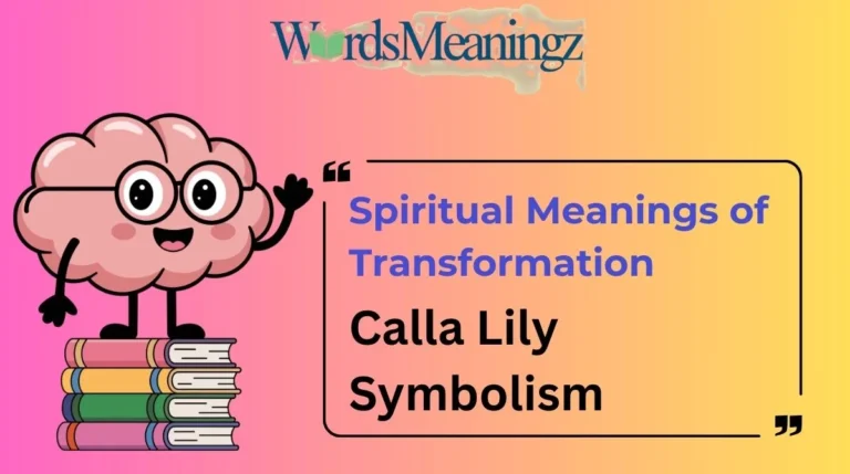 Calla Lily Symbolism