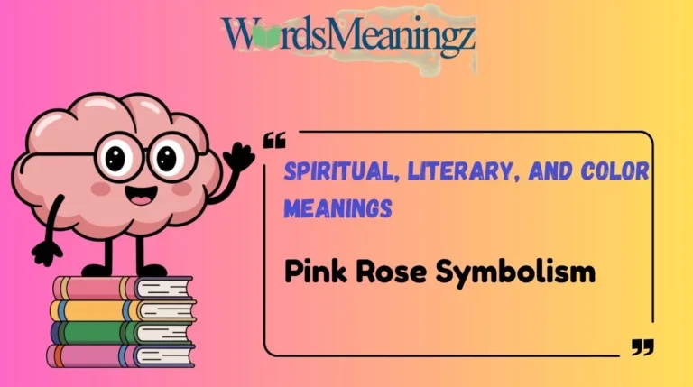 Pink Rose Symbolism