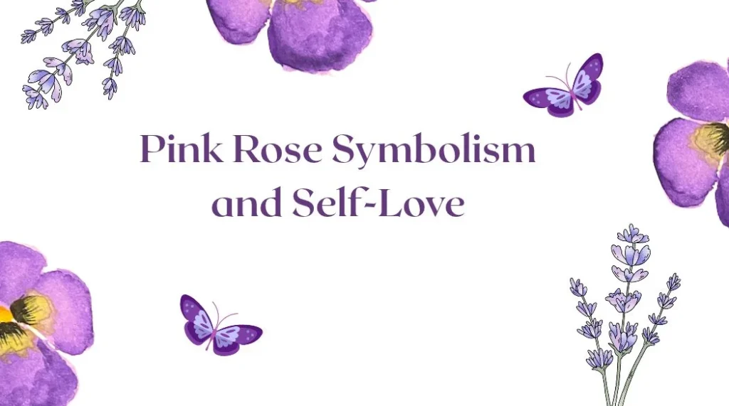 Pink Rose Symbolism and Self-Love