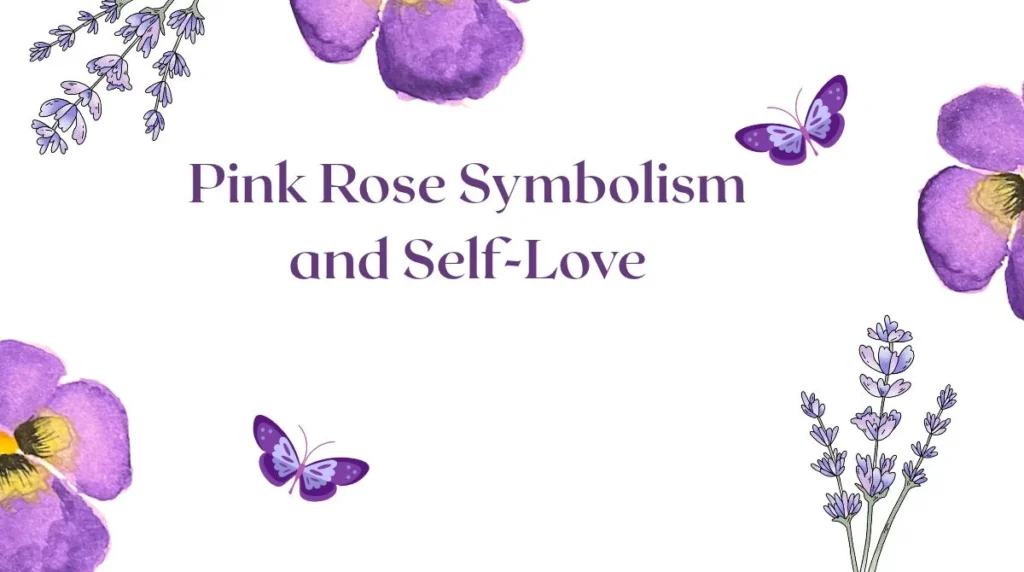 Pink Rose Symbolism and Self-Love