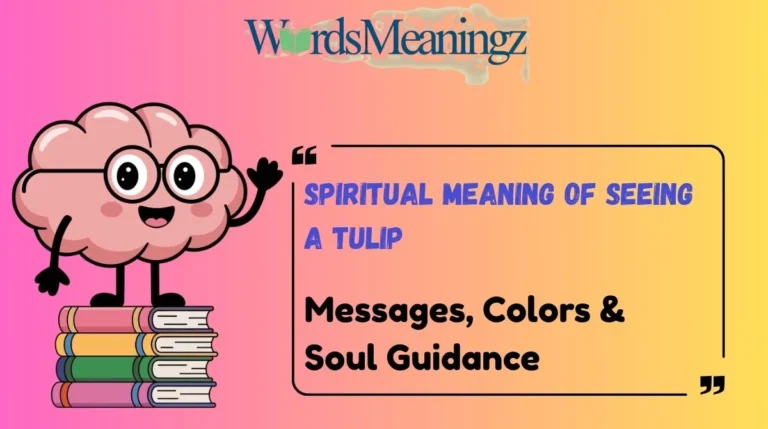 Spiritual Meaning of Seeing a Tulip