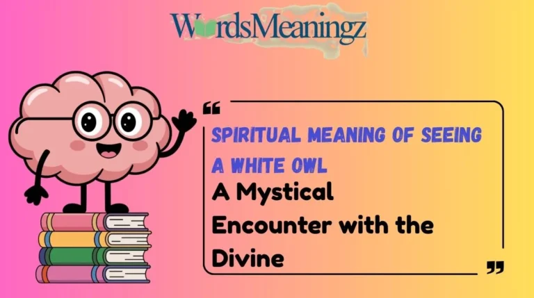 Spiritual Meaning of Seeing a White Owl