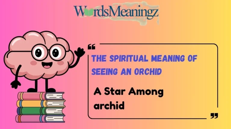 The Spiritual Meaning of Seeing an Orchid