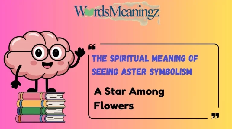 The Spiritual Meaning of Seeing Aster Symbolism