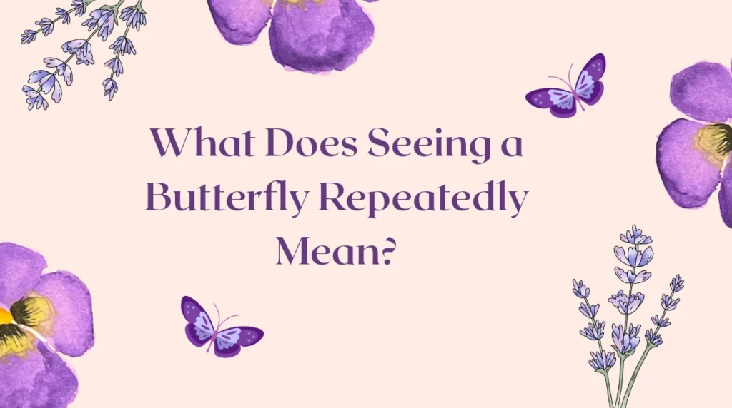 What Does Seeing a Butterfly Repeatedly Mean?
