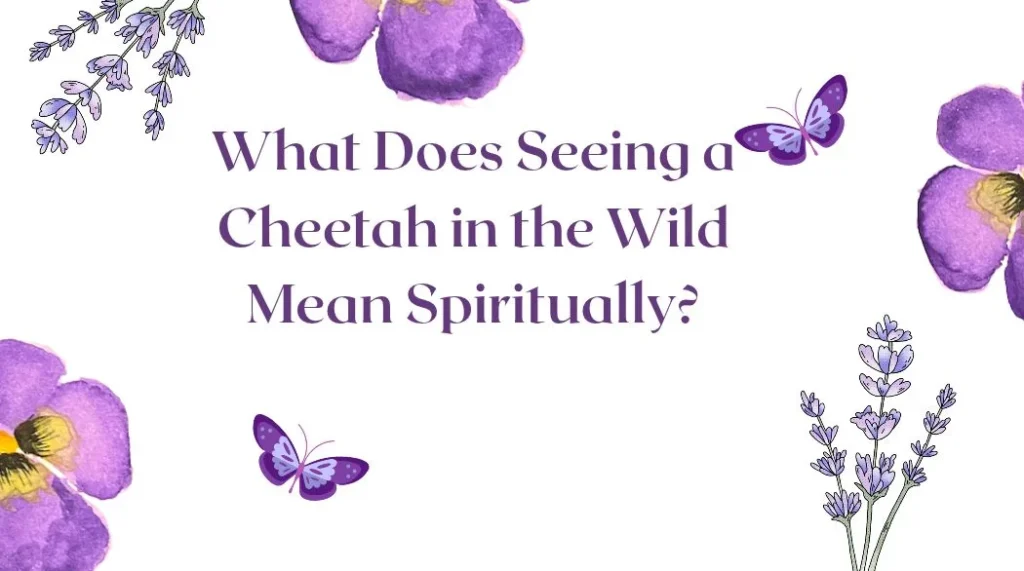 What Does Seeing a Cheetah in the Wild Mean Spiritually?