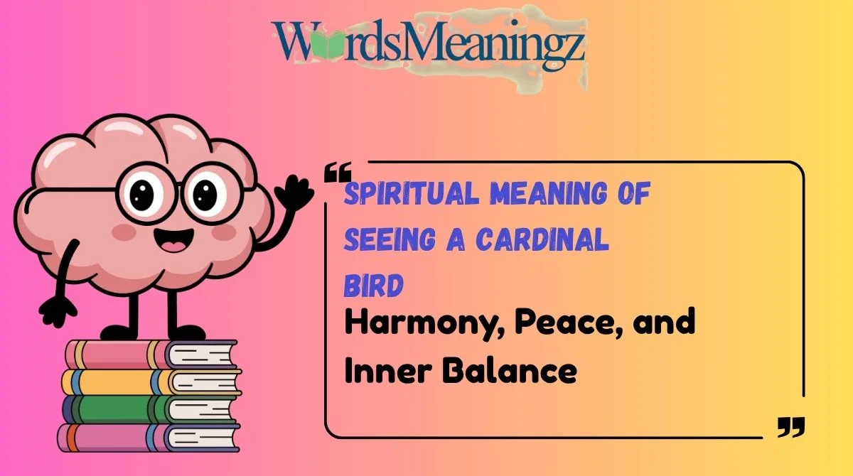 Deep Cardinal Spiritual Meaning of Seeing a Cardinal Bird 2026🐦 ️ - wordsmeaningz.com