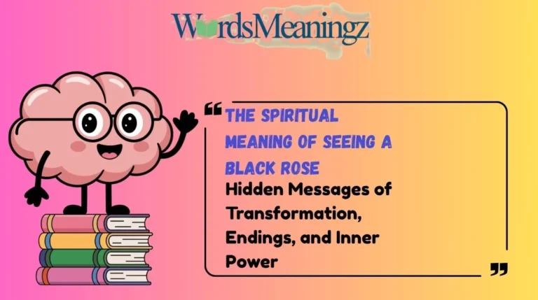 The Spiritual Meaning of Seeing a Black Rose