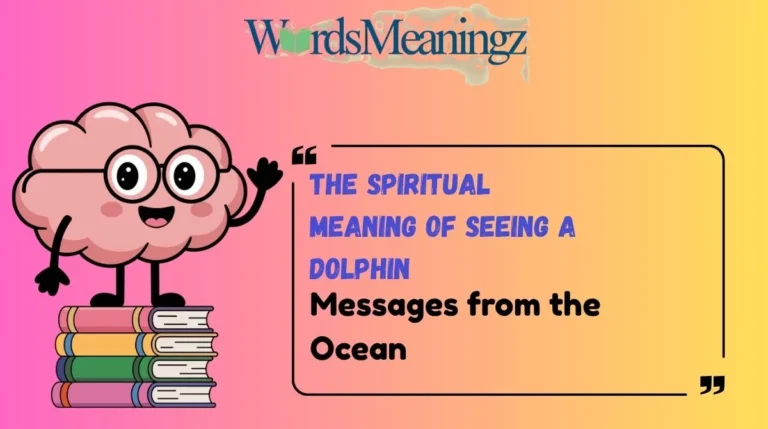 The Spiritual Meaning of Seeing a Dolphin