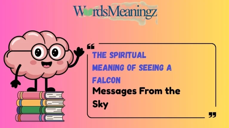 The Spiritual Meaning of Seeing a Falcon