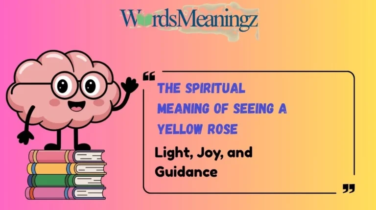 The Spiritual Meaning of Seeing a Yellow Rose