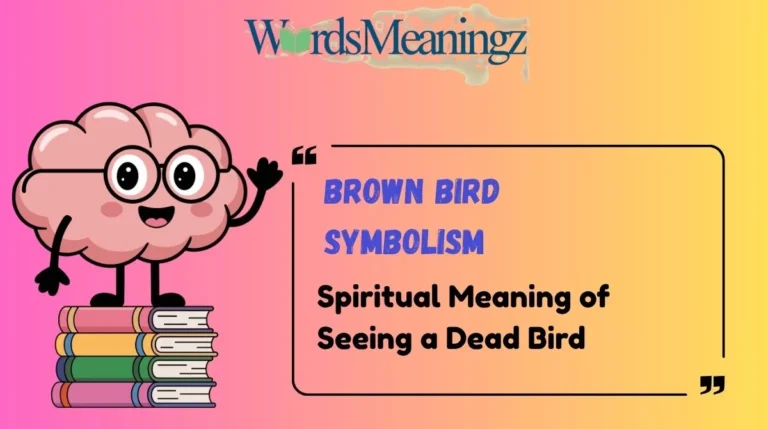 Brown Bird Symbolism