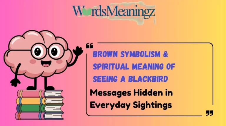 Brown Symbolism & Spiritual Meaning of Seeing a Blackbird