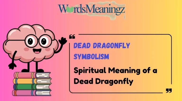 Dead Dragonfly Symbolism
