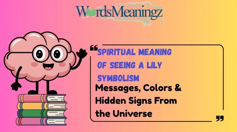 Spiritual Meaning of Seeing a Lily Symbolism