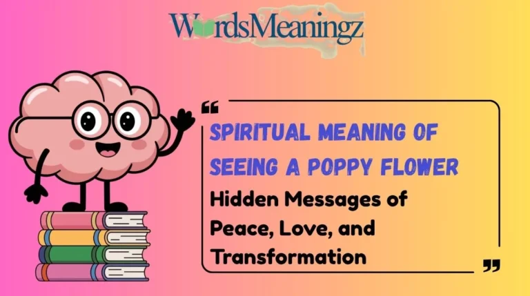 Spiritual Meaning of Seeing a Poppy Flower