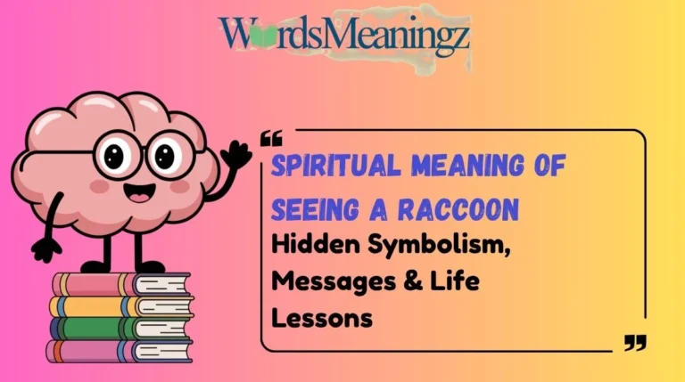 Spiritual Meaning of Seeing a Raccoon