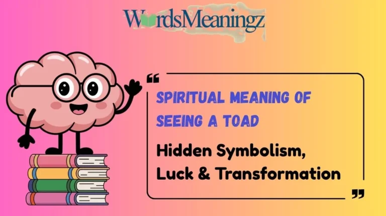 Spiritual Meaning of Seeing a Toad
