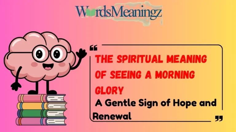 The Spiritual Meaning of Seeing a Morning Glory