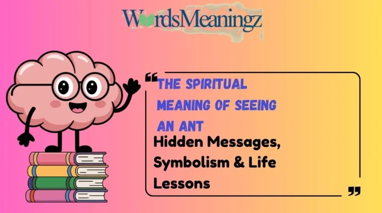 The Spiritual Meaning of Seeing an Ant