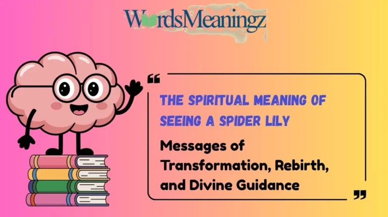 The Spiritual Meaning of Seeing a Spider Lily