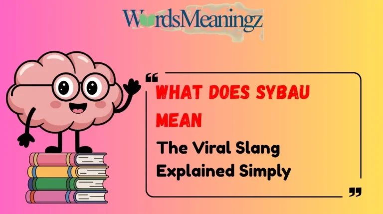 What Does SYBAU Mean